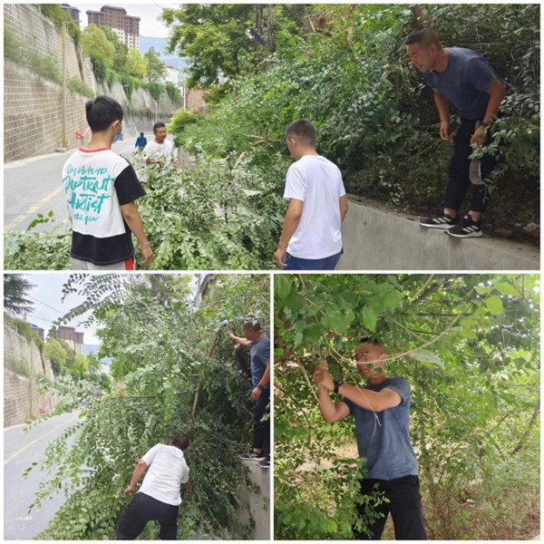 隴運(yùn)集團(tuán)公司工作動(dòng)態(tài)(7.16—7.24)